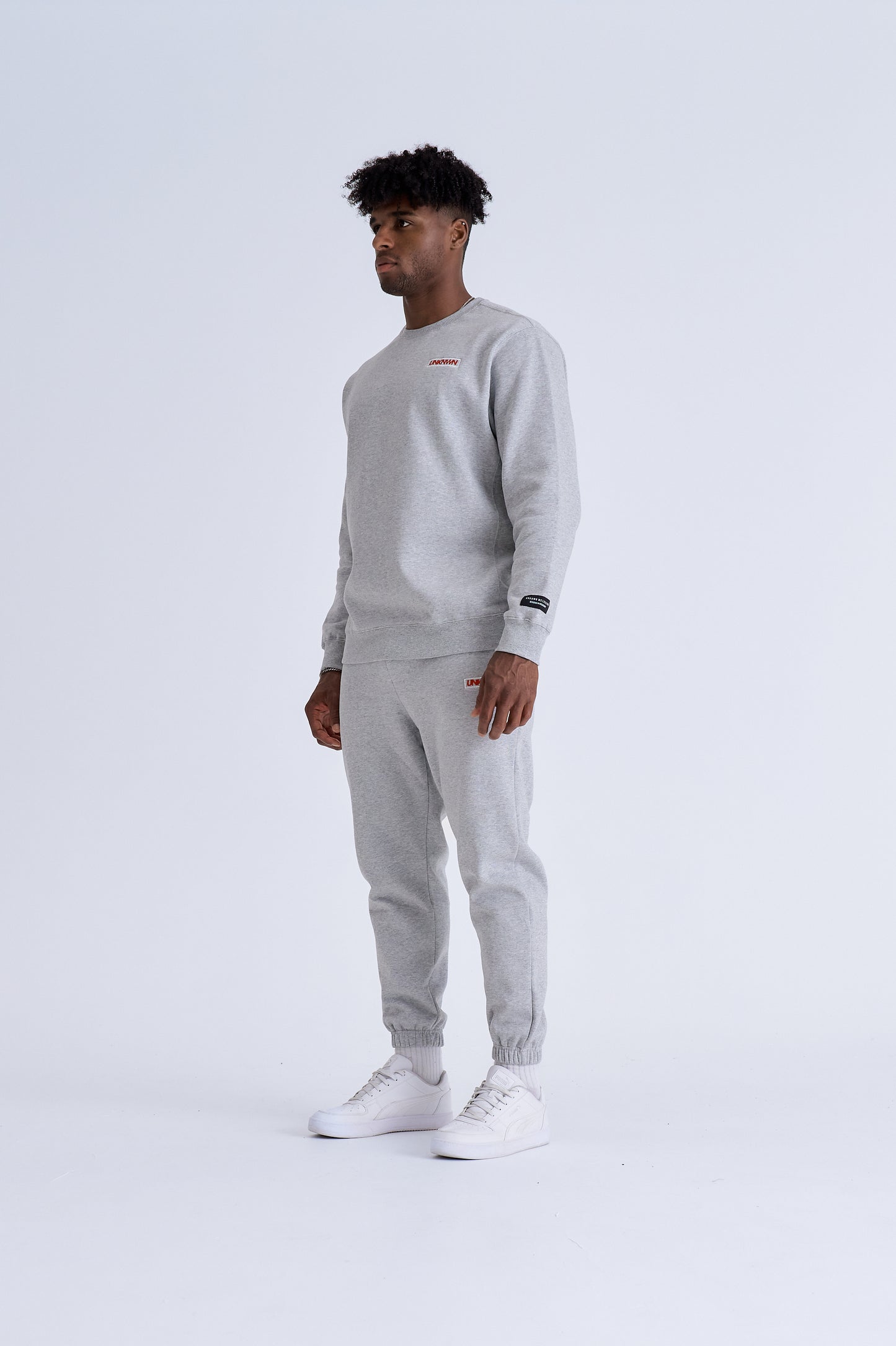 BOX LOGO CREWNECK - GREY