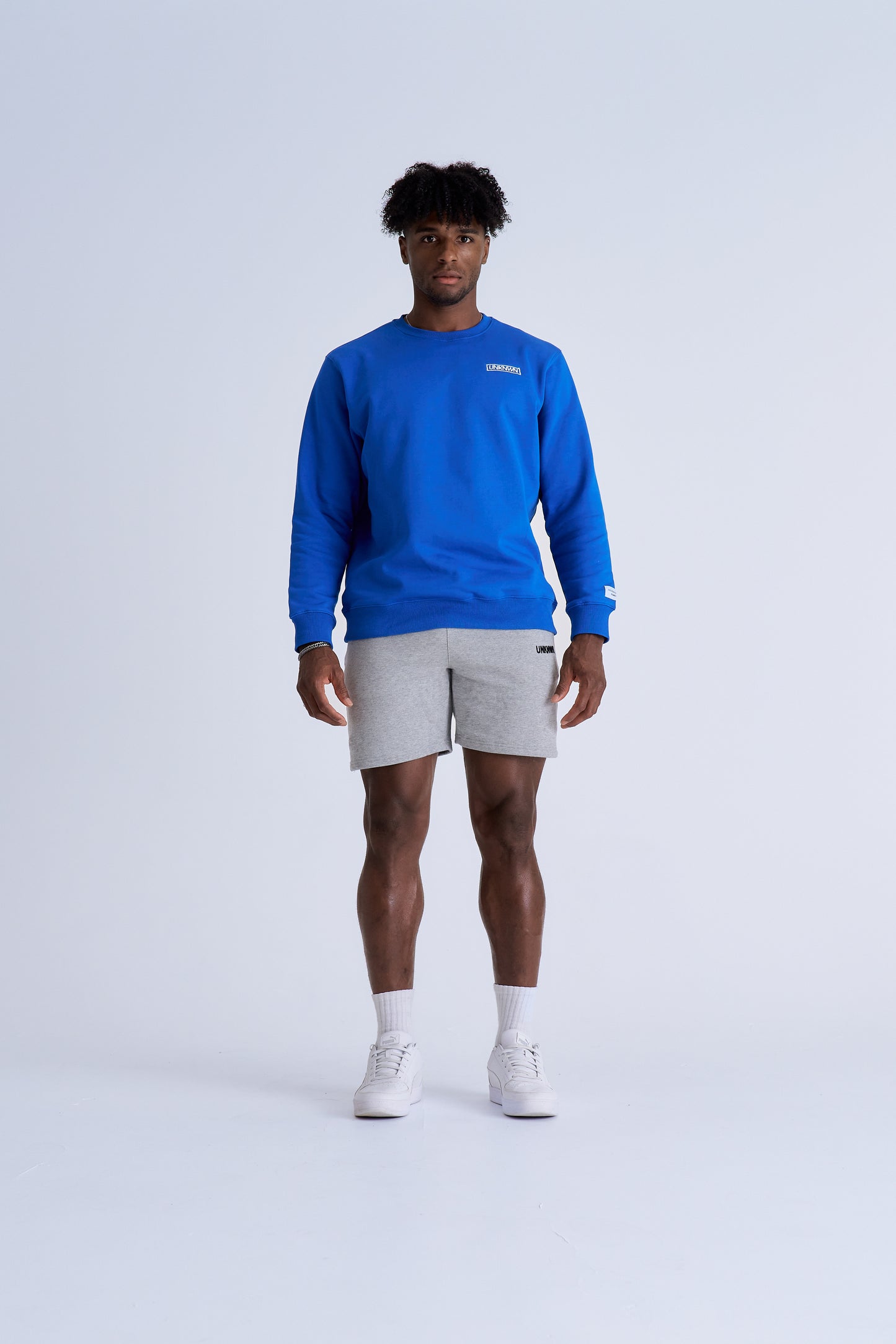 BOX LOGO CREWNECK - BLUE