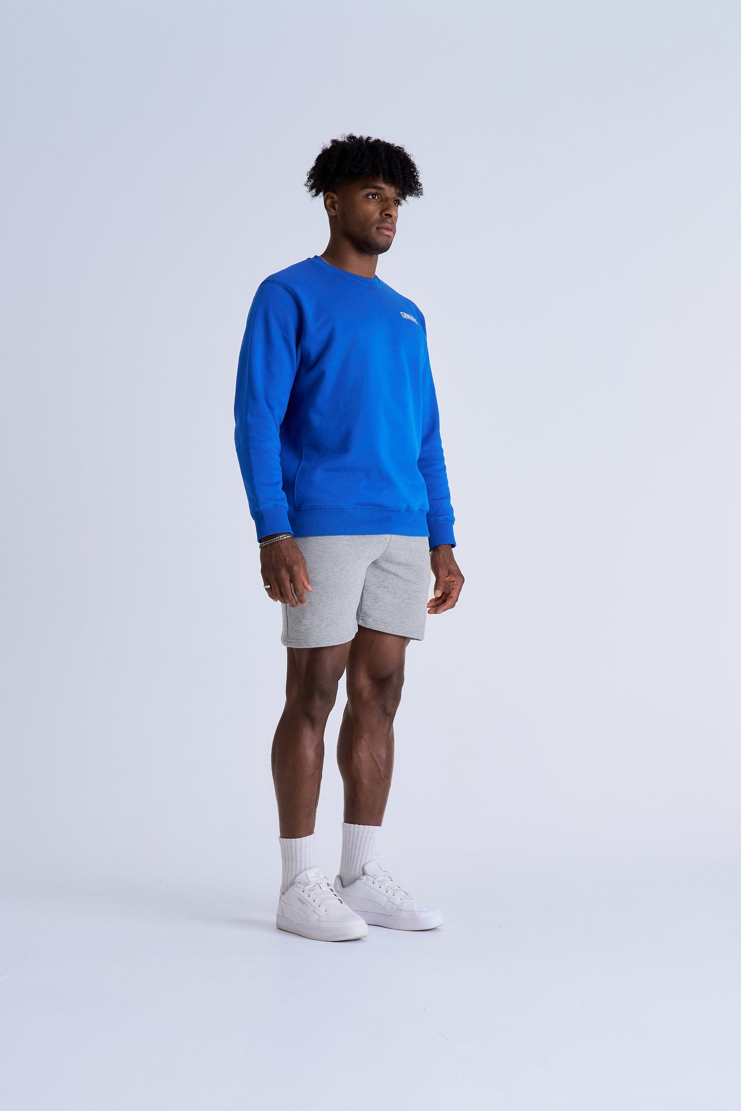 BOX LOGO CREWNECK - BLUE
