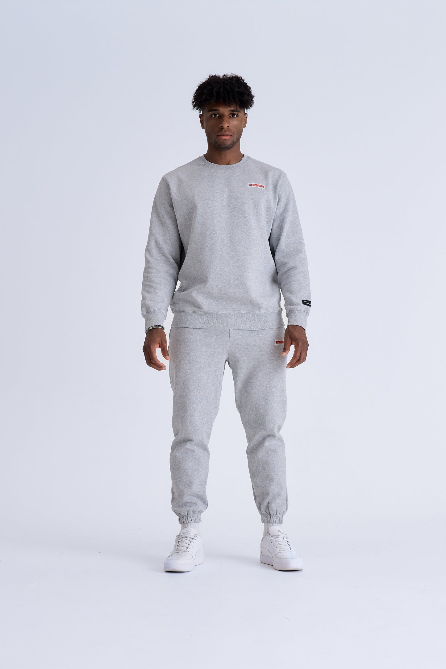 BOX LOGO CREWNECK - GREY